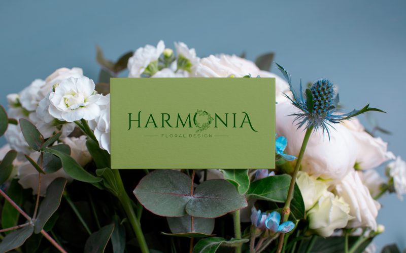 azempresas-harmonia-(3)
