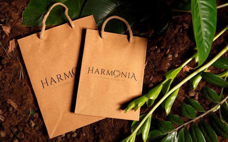 azempresas-harmonia-(5)