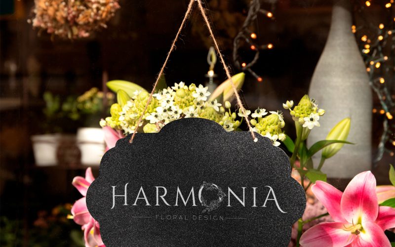 azempresas-harmonia-(7)