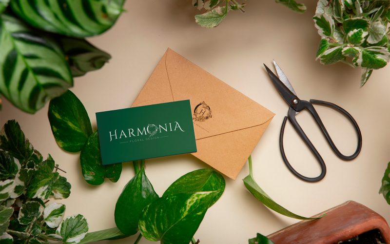 azempresas-harmonia-(8)